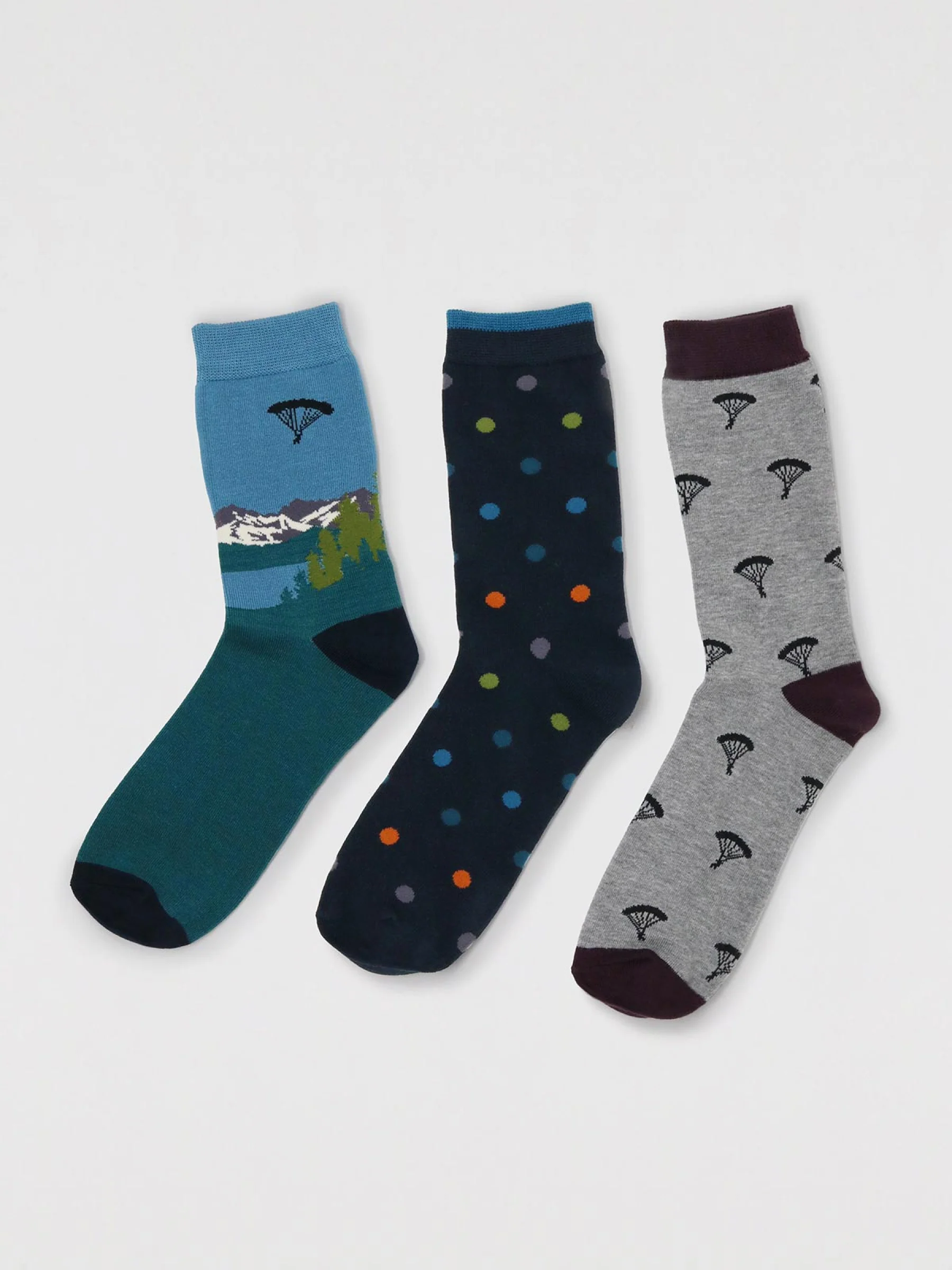 Ackley Mountain Sock Pack - Multi - Flockneti