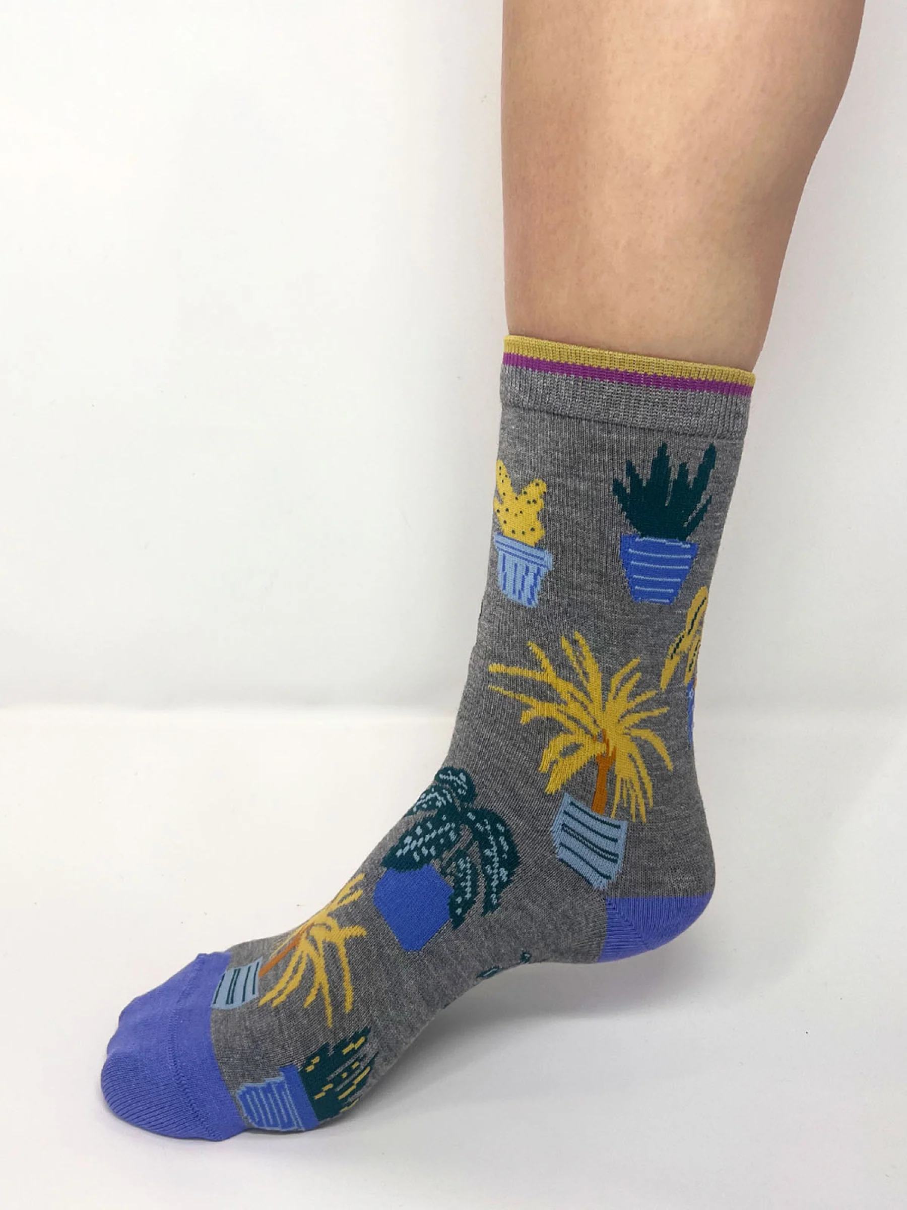 Dracaena House Plant Bamboo Socks In A Bag - Multi - Flockneti