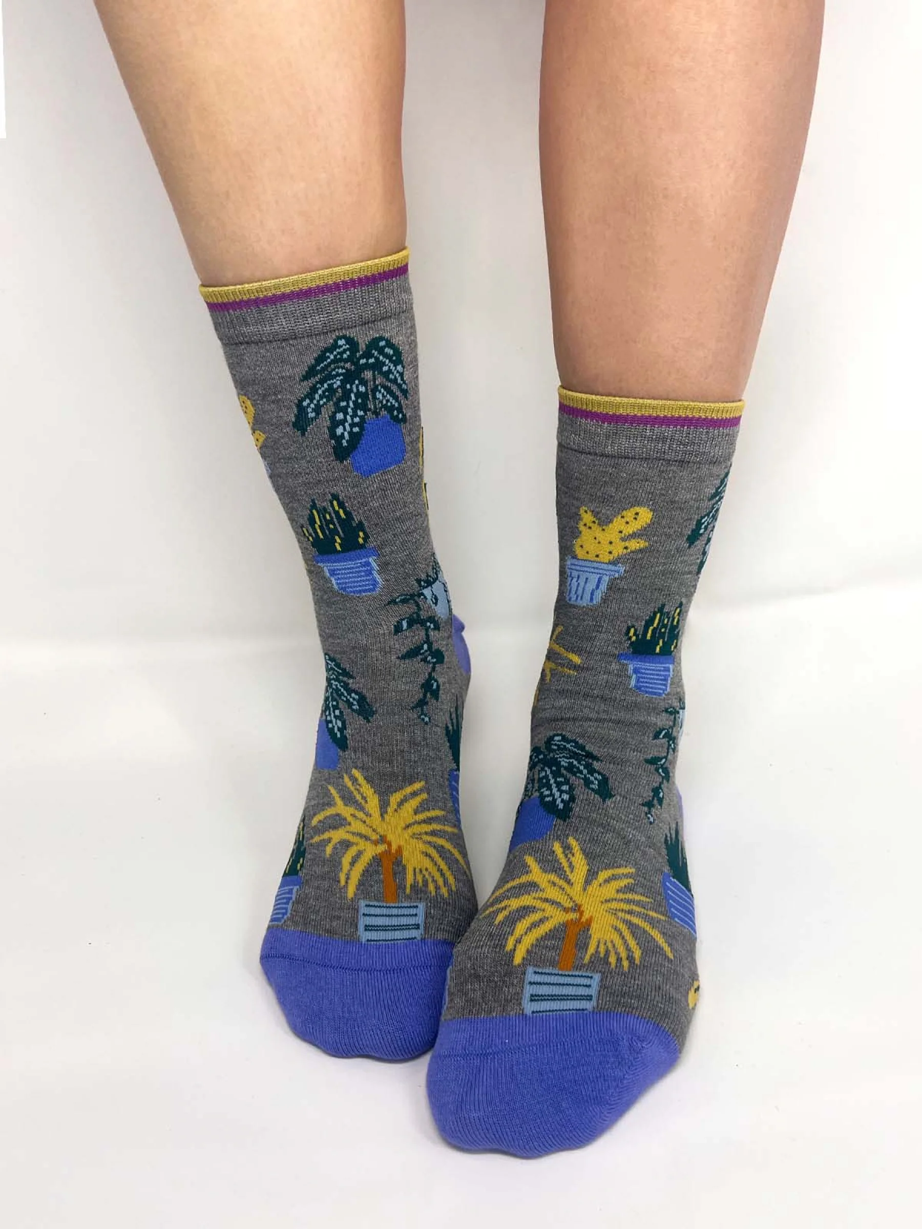 Dracaena House Plant Bamboo Socks In A Bag - Multi - Flockneti