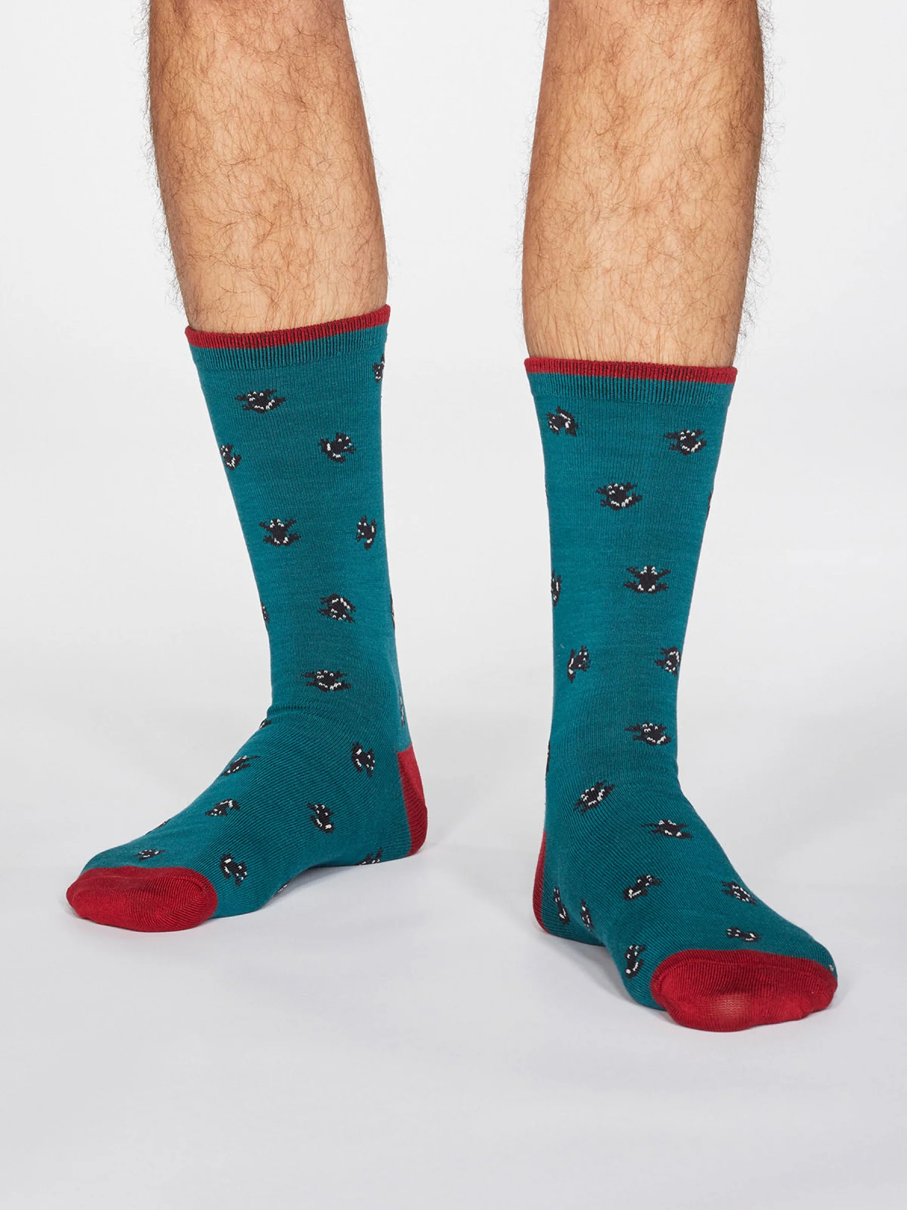 Wesley Frog Socks - Teal Green - Flockneti